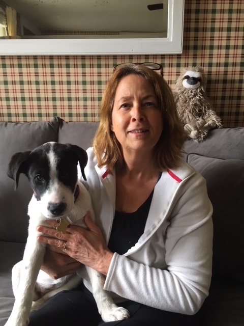 Millie & Me 
